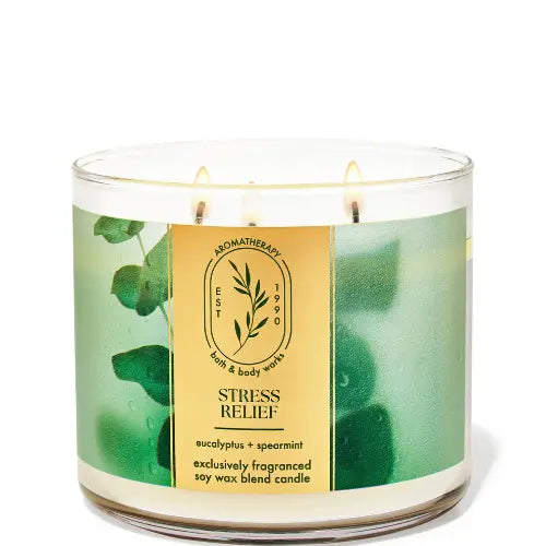 Bath & Body Works Eucalyptus & Spearmint 3 Wick candles