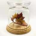 Bath & Body Works Leaves Cloche Pedestal Candle Holder