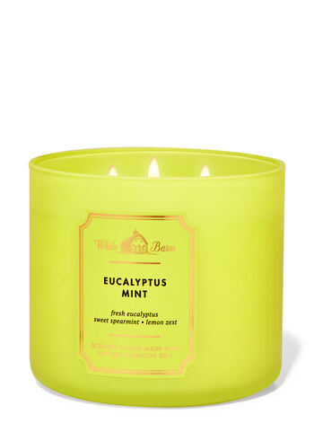 Eucalyptus Mint 3 Wick Candle