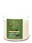 Eucalyptus Spearmint 3 Wick Candle