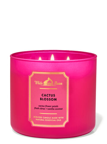 Cactus Blossom 3 Wick Candle