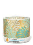 Warm Ocean Breeze 3 Wick Candle