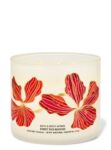 Sweet Red Mango 3 Wick Candle