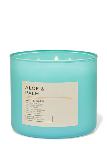 Aloe Palm 3 Wick Candle