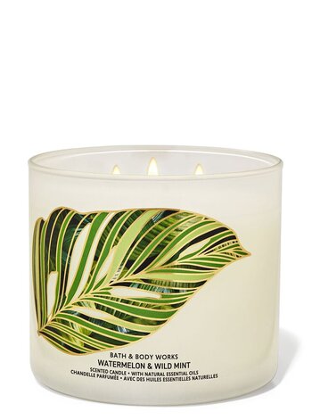 Watermelon & Wild Mint 3 Wick Candle