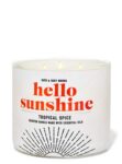 Tropical Spice 3 Wick Candle Refill