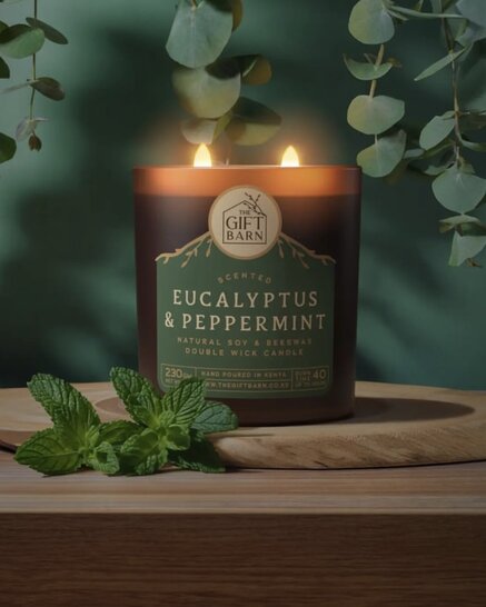 Eucalyptus Peppermint 2 Wick Candle