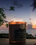 Evening Bliss 2 Wick Candle