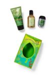 Eucalyptus Spearmint Sanitizer Mini Gift Set