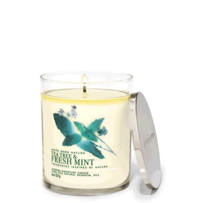 Tea Tree & Fresh Mint 8oz Single Wick Candle