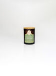 Eucalyptus Peppermint 2 Wick Candle