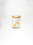 Moroccan Orchid Single Wick Candle