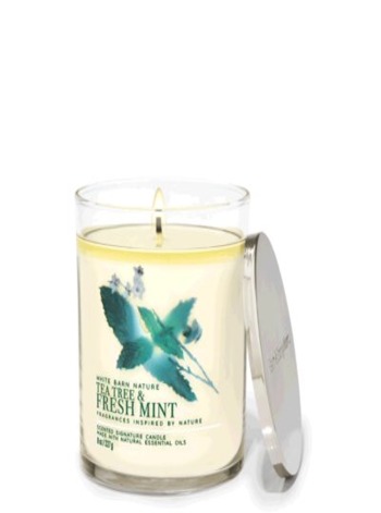 Tea Tree & Fresh Mint 8oz Single Wick Candle