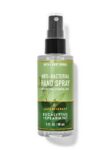 Eucalyptus Spearmint Hand Sanitizer Spray