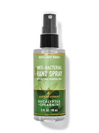 Eucalyptus Spearmint Hand Sanitizer Spray