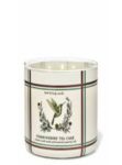 Hummingbird Tea Cake 3 Wick Candle